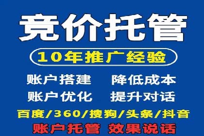 谷歌SEM案例研究：广告预算分配与优化